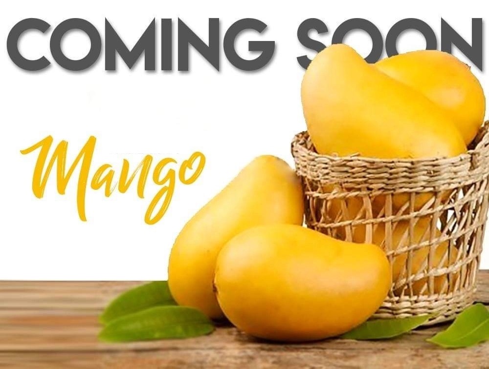 Mango Exporter from Pakistan, Bilal enterprises Pakistan