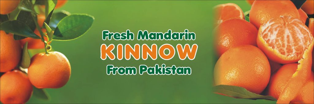 Bilal Enterprises import and Export Fruits Kinnow Oranges Citrus Pakistan