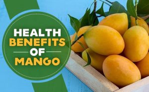 10 Health Benefits of Mango ! Mango Export quality mange available with best prices .most popular varity are langra, chaunsa safaid chaunsa azeem chaunsa sindhri dasheri Pakistani mangoes are internationally famous for their sweetness, juiciness, nutrition and unique flavor.