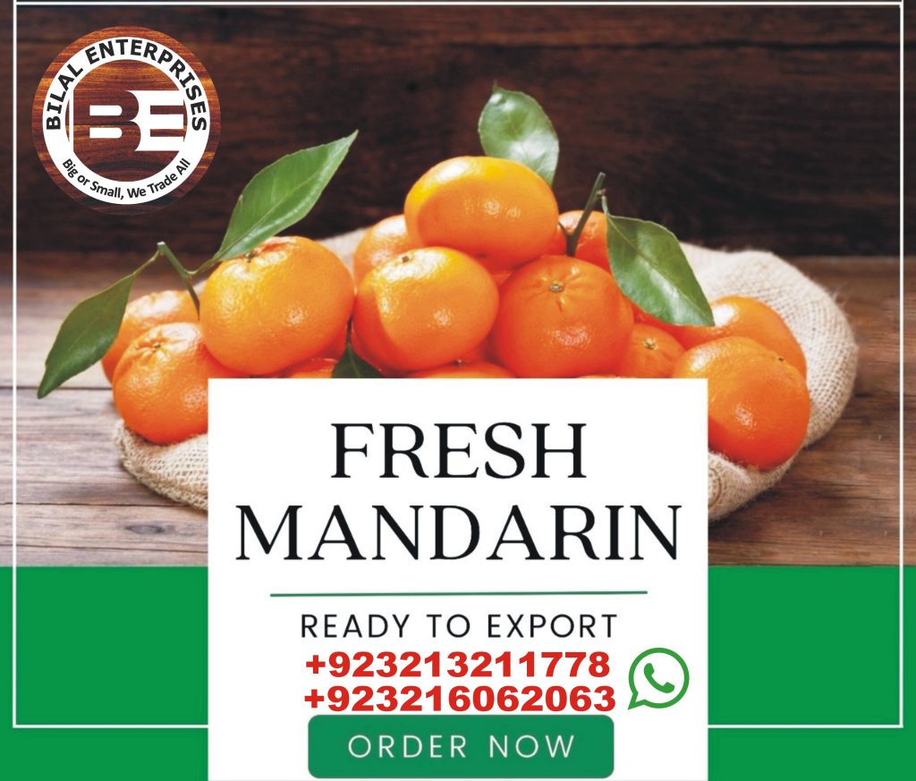 Bilal Enterprises Import and export Kinnow citrus oranges from Pakistan