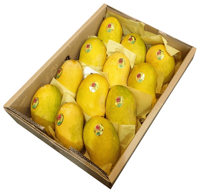 Best Mango fragrance 2025