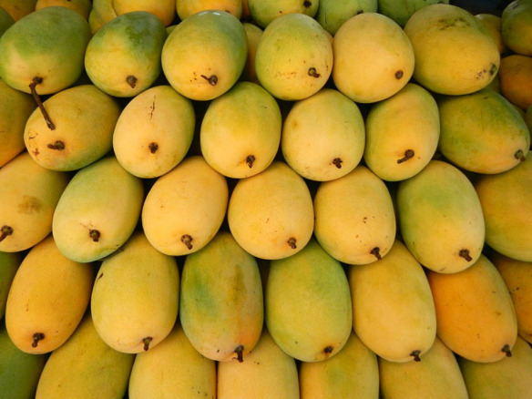 MANGO SEASON STARTED MAY 2025 IN PAKISTAN
