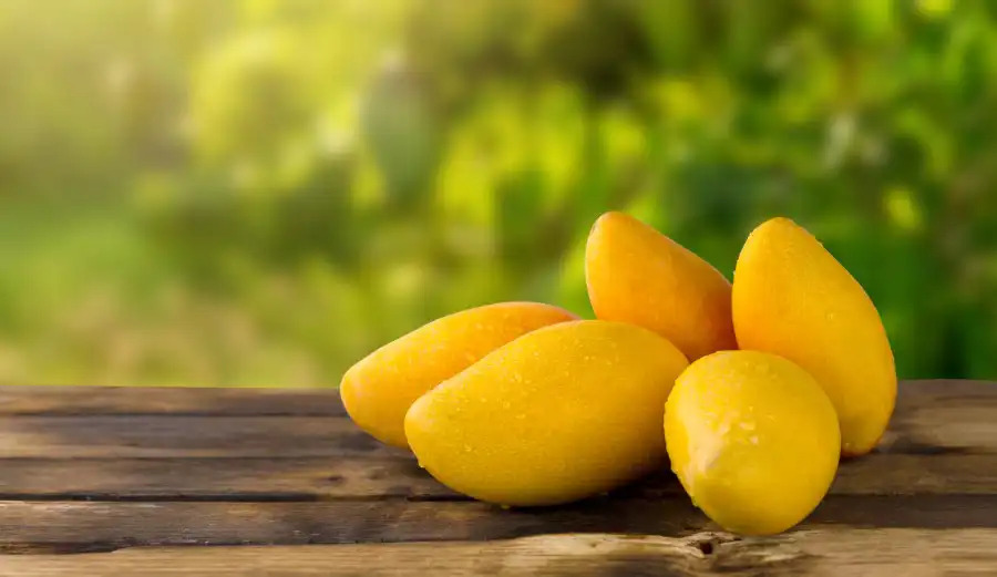 10 Health Benefits of Mango