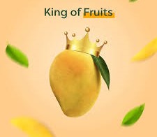 Why mango is king of fruits