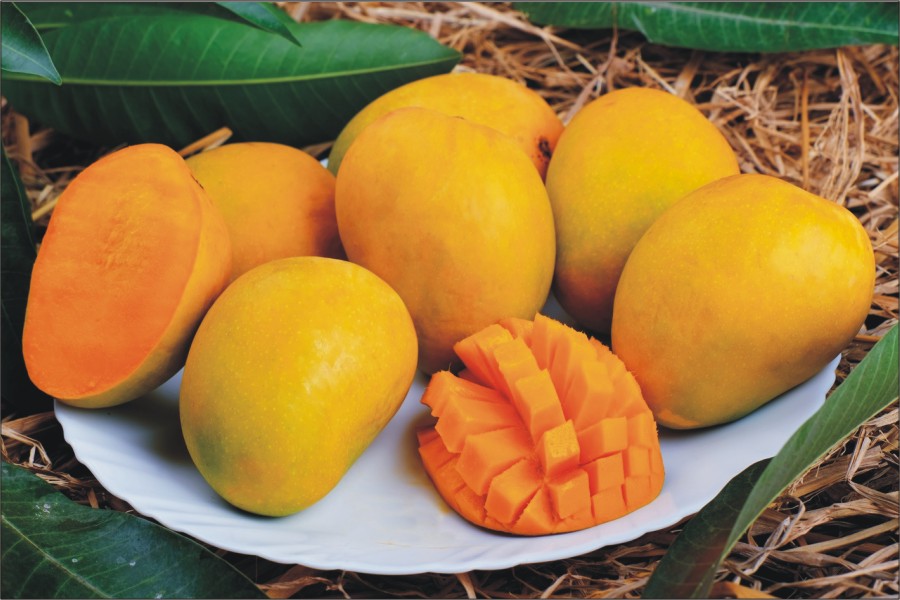 Best Mango fragrance 2025