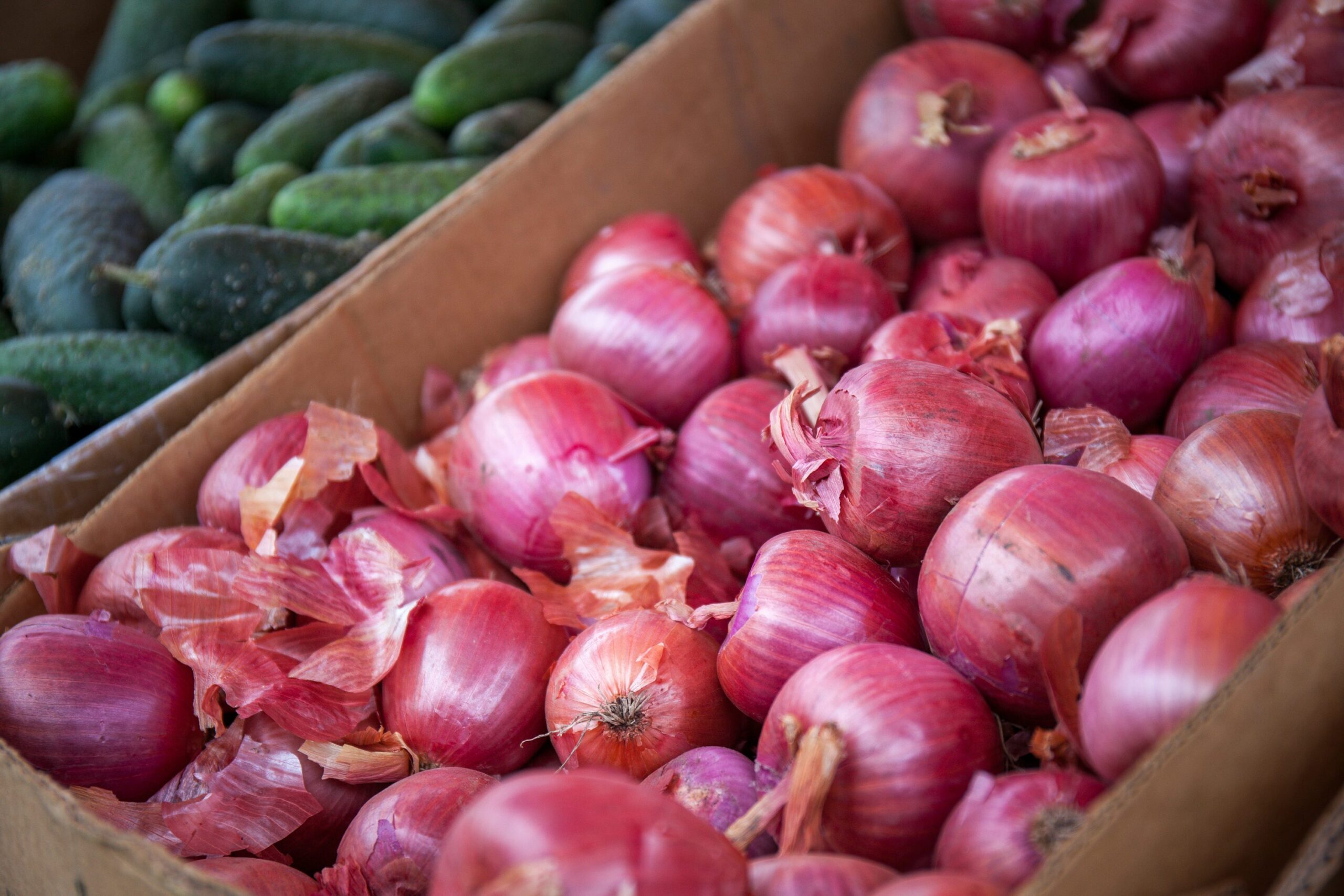 Red Onion Health Benefits