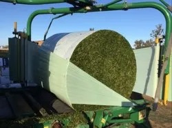 Corn Silage – High Energy 
