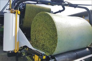 Corn Silage – High Energy