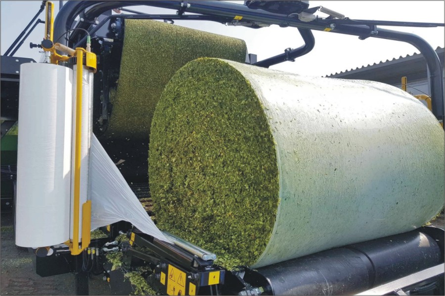 Corn Silage – High Energy