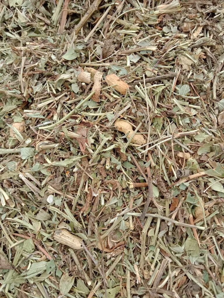 Peanut Straw 