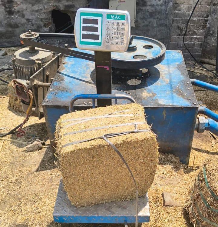 Premium Wheat Straw 