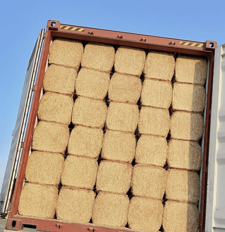 Premium Wheat Straw 