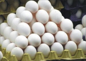 Export Quality Egg