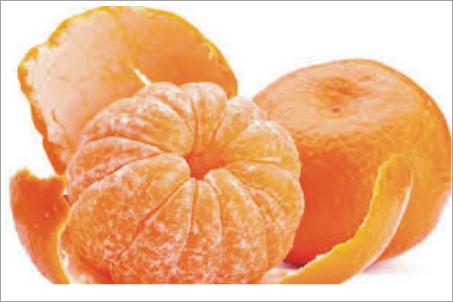 Mandarin Kinnow from Pakistan